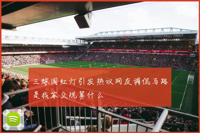 三球闯红灯引发热议网友调侃马路是我家交规算什么